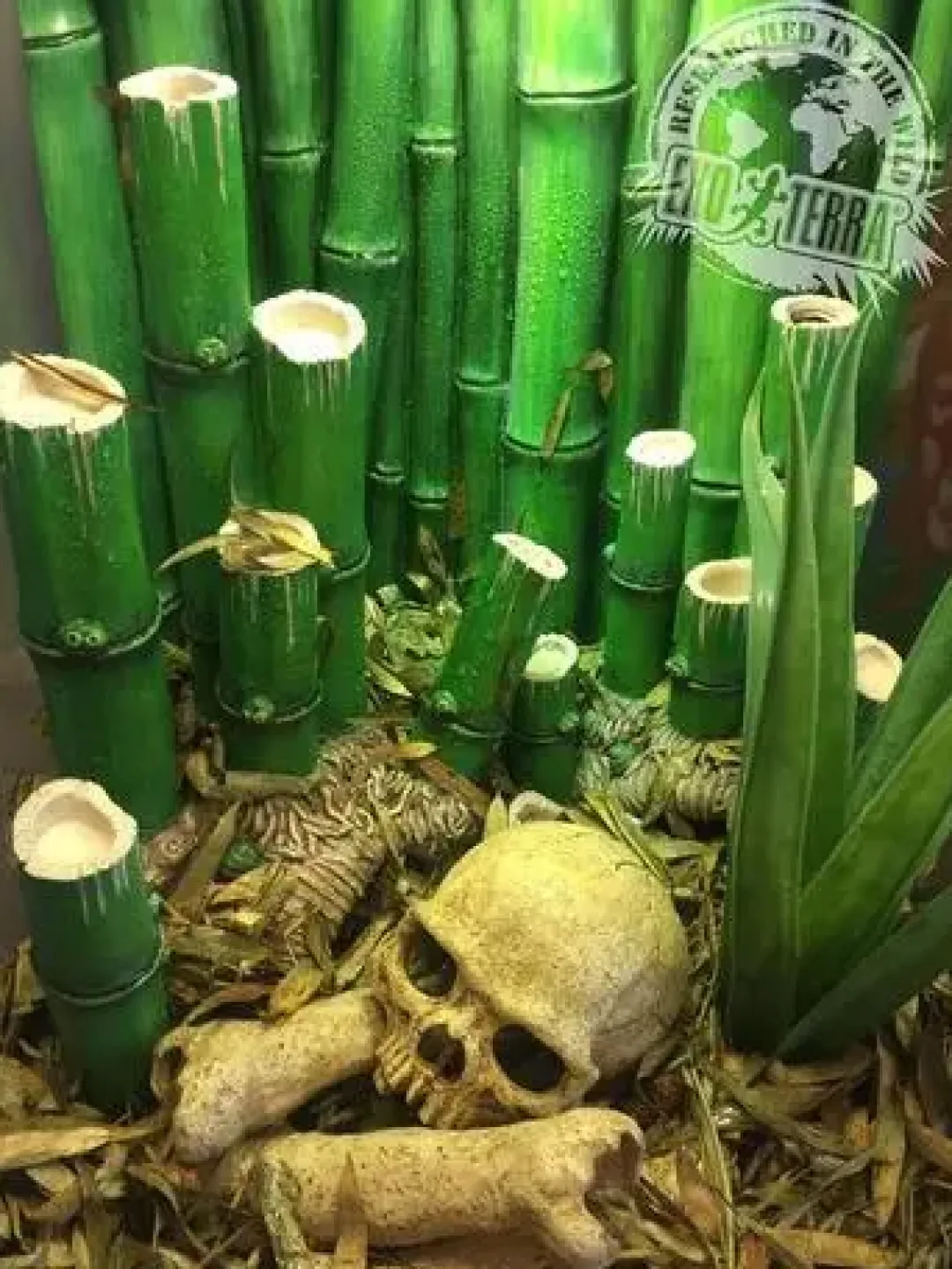 ExoTerra Exo Terra Bamboo Forest Floor 8,8 liter