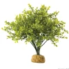 ExoTerra Exo Terra Boxwood bush