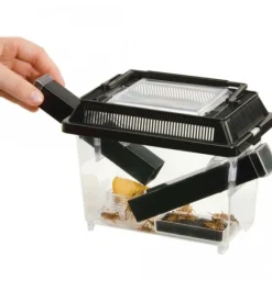 ExoTerra Exo Terra Cricket Pen lille