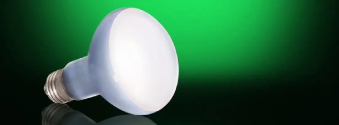 ExoTerra Exo Terra Day Glo Spot 25 watt med UVA