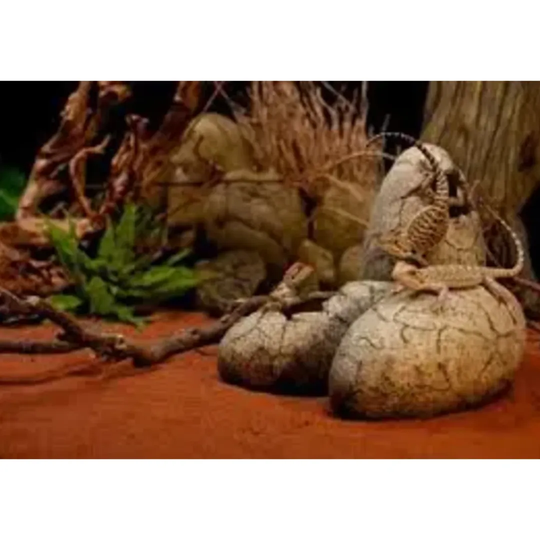 ExoTerra Exo Terra Dinosaur Æg Stor