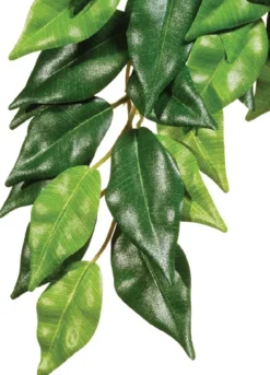 ExoTerra Exo Terra Ficus (lille)