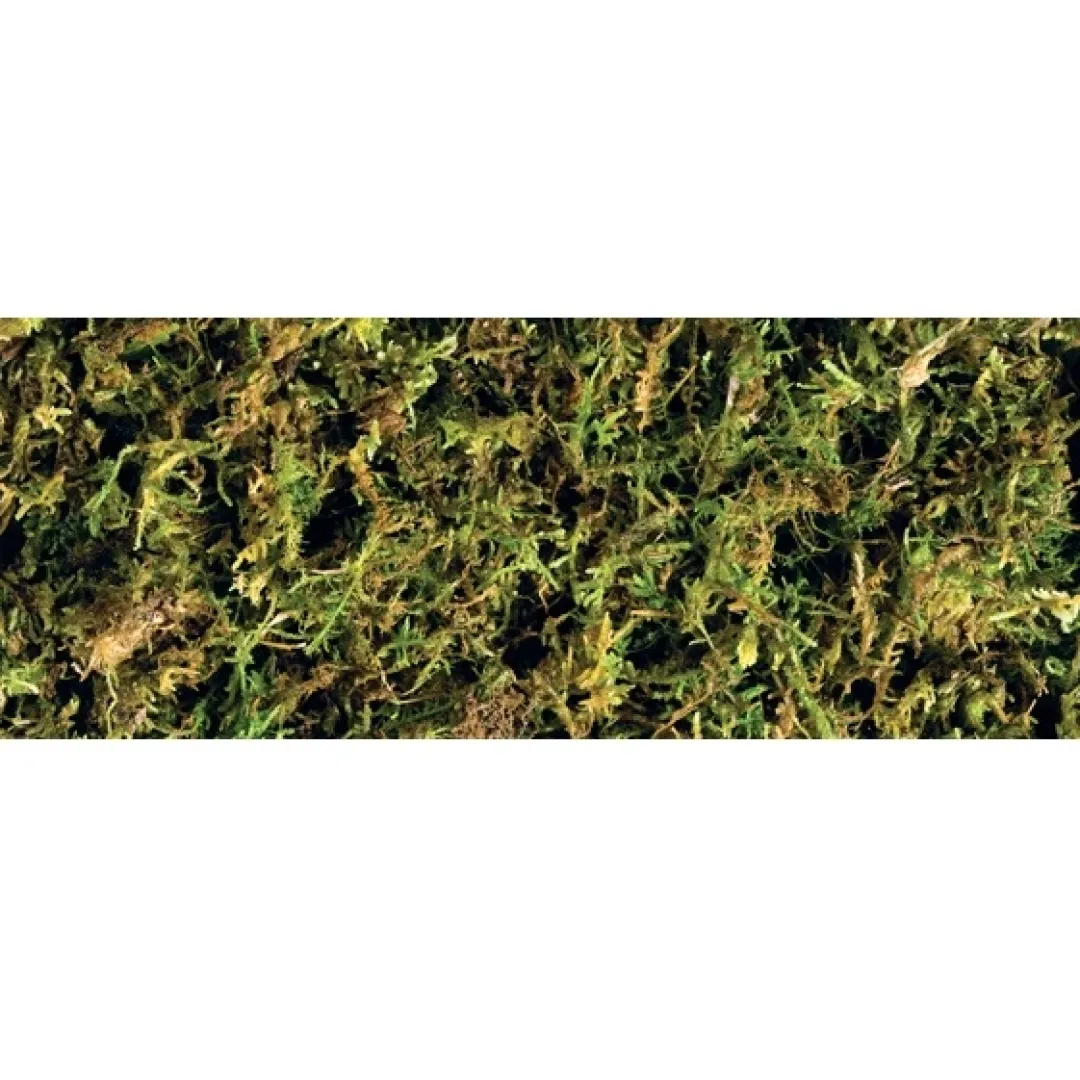 ExoTerra Exo Terra Forest Moss 2 x 7 liter