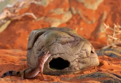 ExoTerra Exo Terra Gecko Hule medium