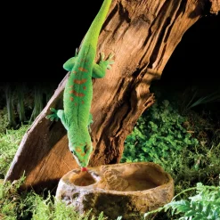 ExoTerra Exo Terra Gecko vand og foderskål