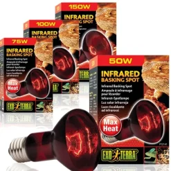 ExoTerra Exo Terra Heat Glo Infrarød spot 100 w