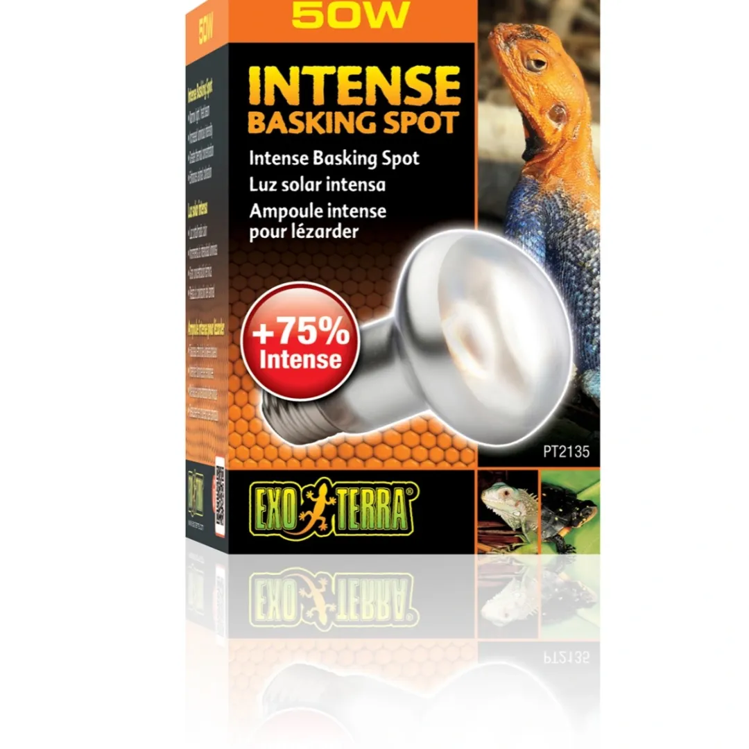 ExoTerra Exo Terra Intense Basking Spot 50 W - Effektiv UVA-varmespot til terrarier