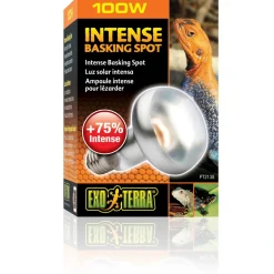 ExoTerra Exo Terra Intense Basking Spot 100 W - Effektiv UVA-varmespot til terrarier