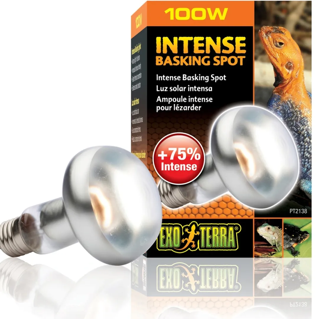 ExoTerra Exo Terra Intense Basking Spot 100 W - Effektiv UVA-varmespot til terrarier