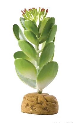 ExoTerra Exo Terra Jade kaktus