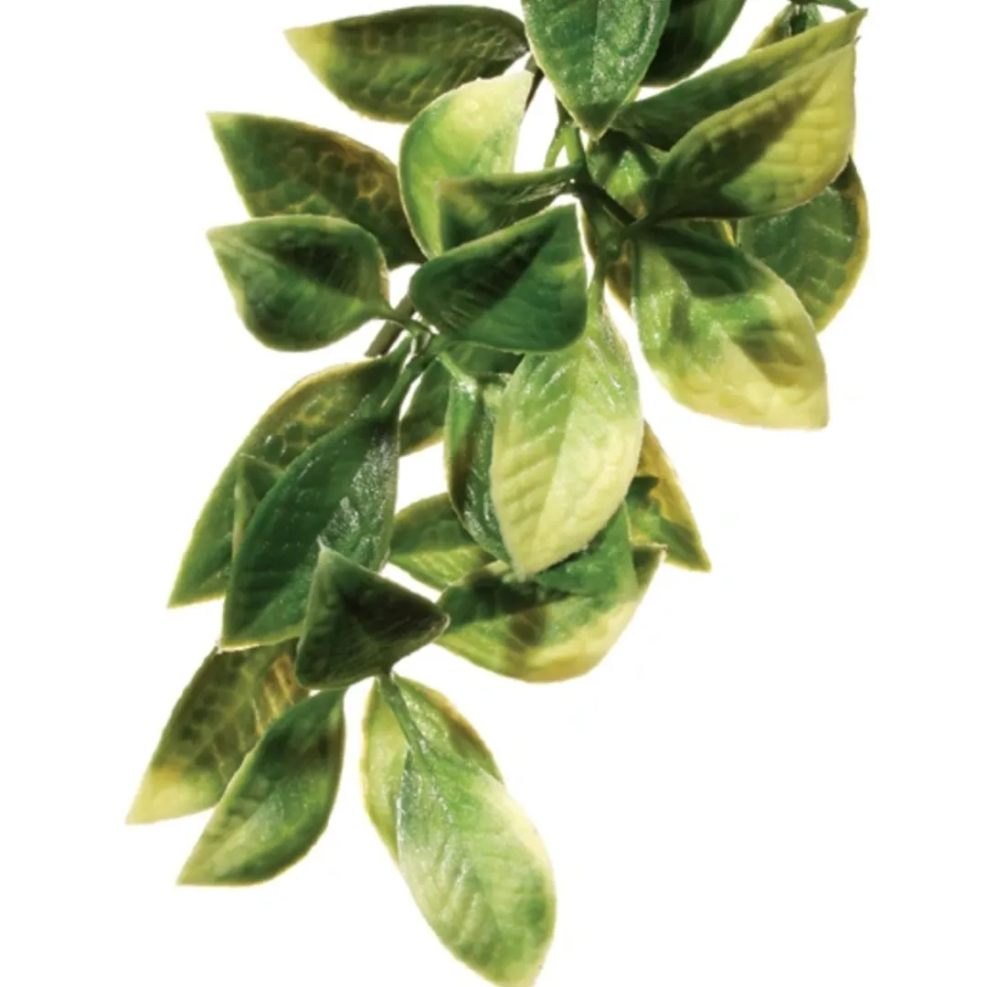 ExoTerra Exo Terra Mandarin medium