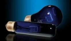 ExoTerra Exo Terra Night Glo 40 w