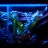 ExoTerra Exo Terra Night Glo 15 watt