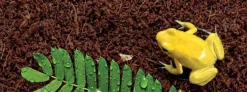 ExoTerra Exo Terra Plantation Soil 650 g