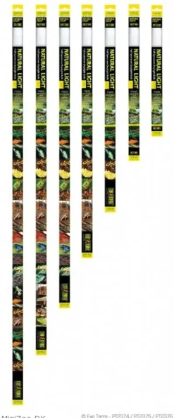 ExoTerra Exo Terra Reptile Natural Light 20 Watt (18 W)