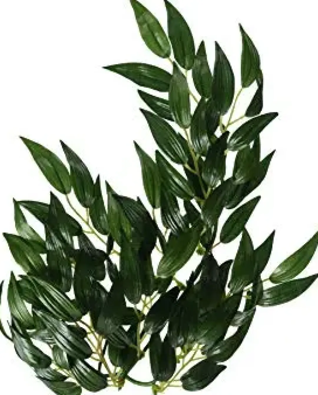 ExoTerra Exo Terra Ruscus lille