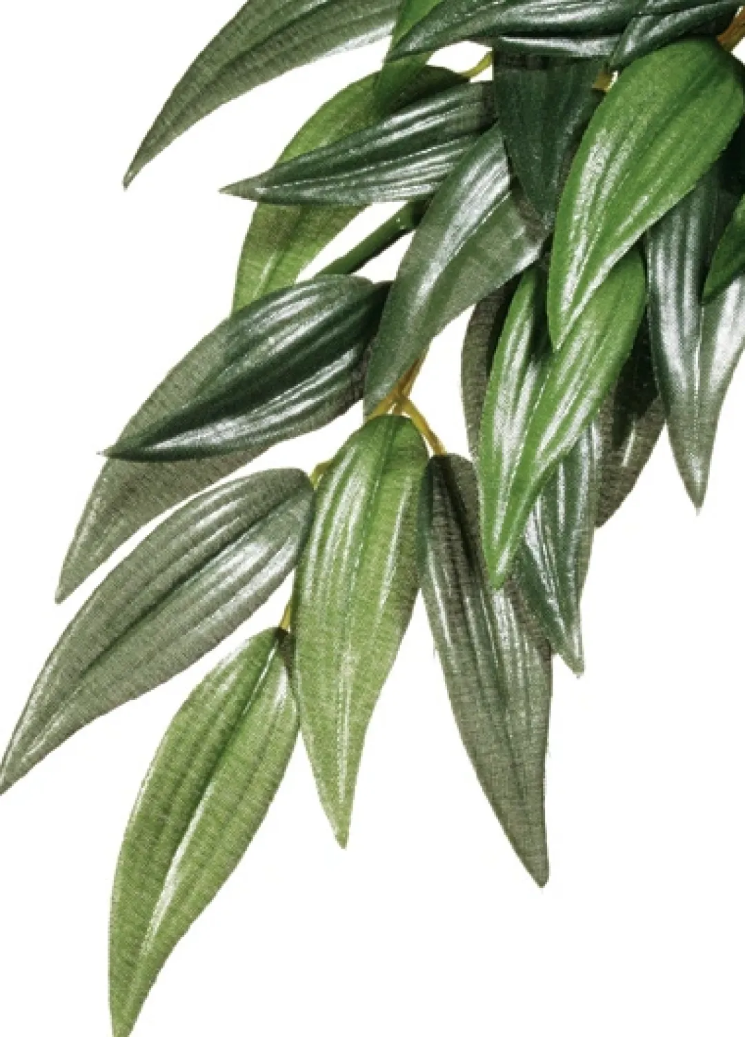 ExoTerra Exo Terra Ruscus lille