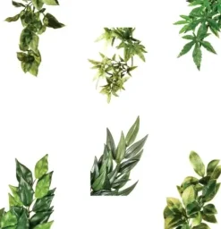 ExoTerra Exo Terra Ruscus lille