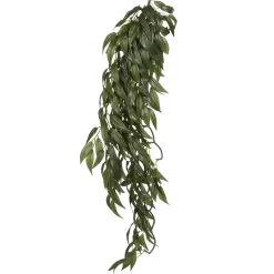 ExoTerra Exo Terra Ruscus stor
