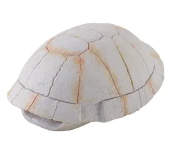 ExoTerra Exo Terra Skildpaddeskjold lille