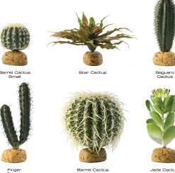 ExoTerra Exo Terra Star Cactus