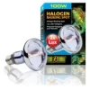 ExoTerra Exo Terra Sun Glo Halogen 100 w