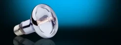 ExoTerra Exo Terra Sun Glo Halogen 100 w