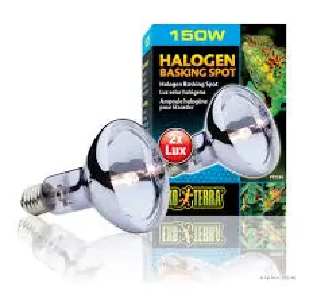 ExoTerra Exo Terra Sun Glo Halogen 150 watt