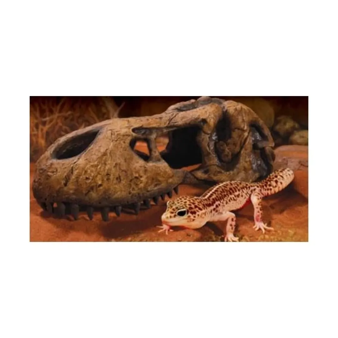 ExoTerra Exo Terra T-REX Kranie