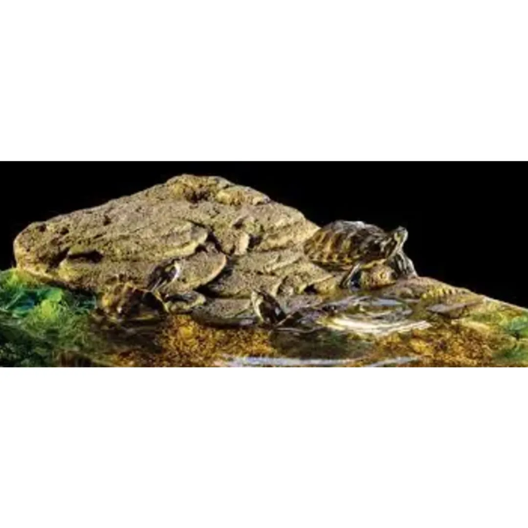 ExoTerra Exo Terra Turtle Bank med magnet stor