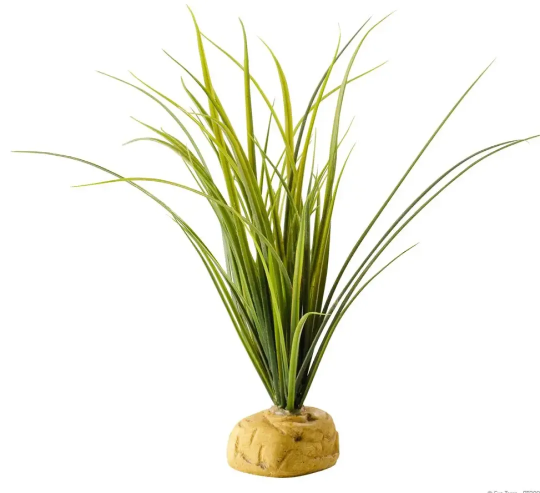 ExoTerra Exo Terra Turtle Grass