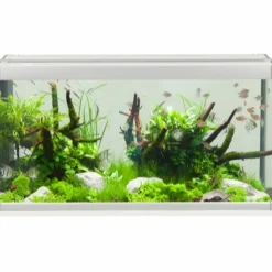 Akvastabil Family Akvarium 80x35x42 cm 112 Liter