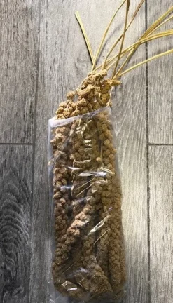 MiniZoo Franske Gule Hirsekolber 10 stk