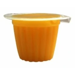 Foder til Krybdyr Frugt Jelly 17 g (Beetle Jelly)