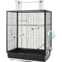 Savic Pets Favourite Fuglebur Primo 60 Open Empire