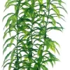 Hobby Heteranthera 34 cm