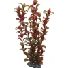 Hobby Rotala 30 cm
