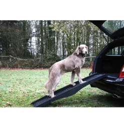 Nobby Hunderampe (foldbar) 40 x 152 cm
