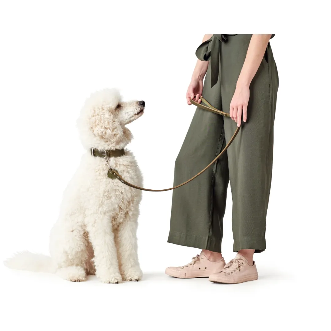 Hunter Aalborg Førerline til Hund Oliven 16/100