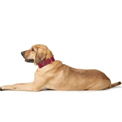 Hunter Aalborg Special Hundehalsbånd Rød 35 - 24-30 cm