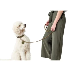 Hunter Aalborg Sport Oliven 32 hundehalsbånd - 24-29 cm