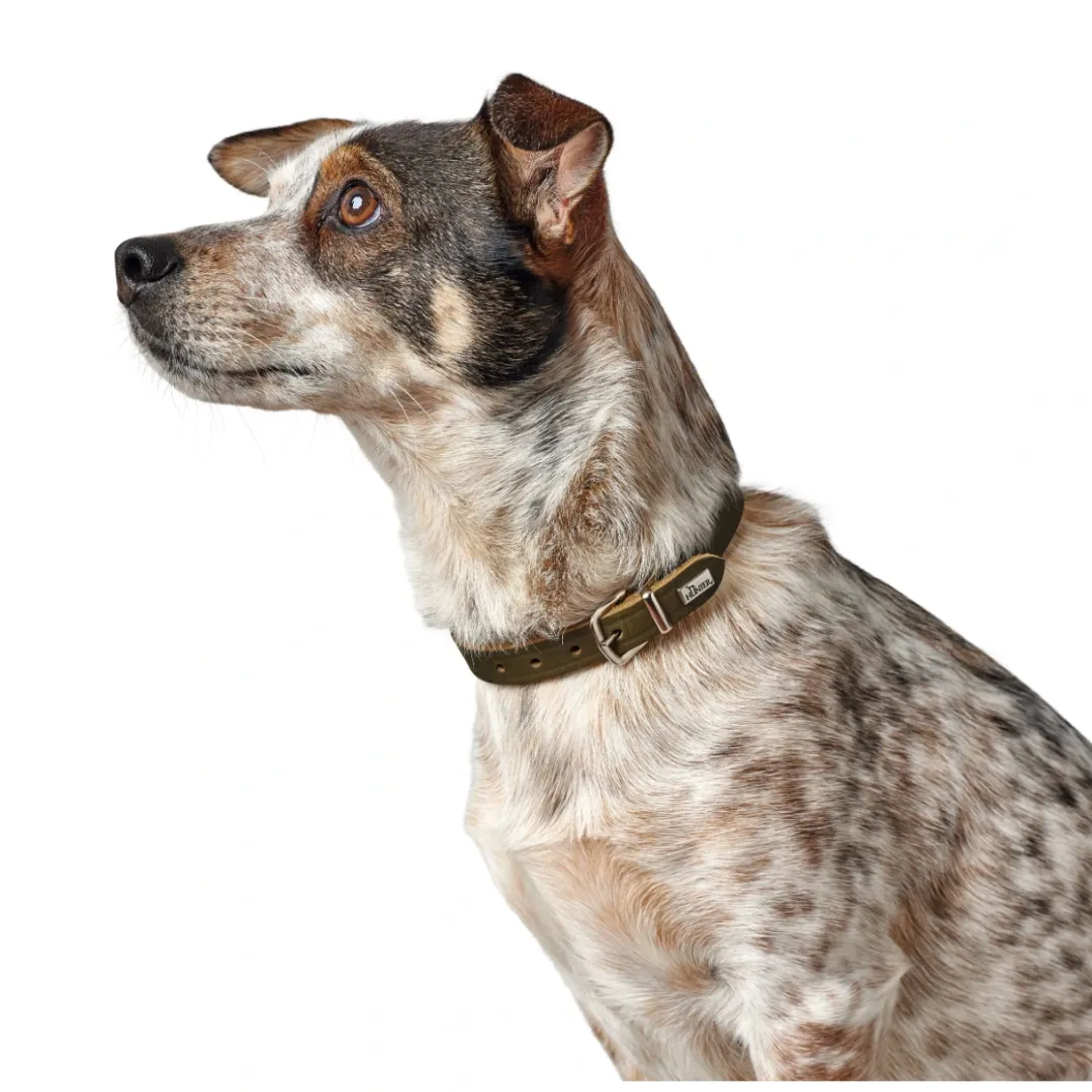 Hunter Aalborg Sport Oliven 32 hundehalsbånd - 24-29 cm