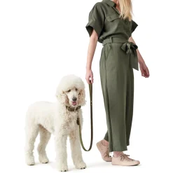 Hunter Aalborg Sport Oliven 32 hundehalsbånd - 24-29 cm