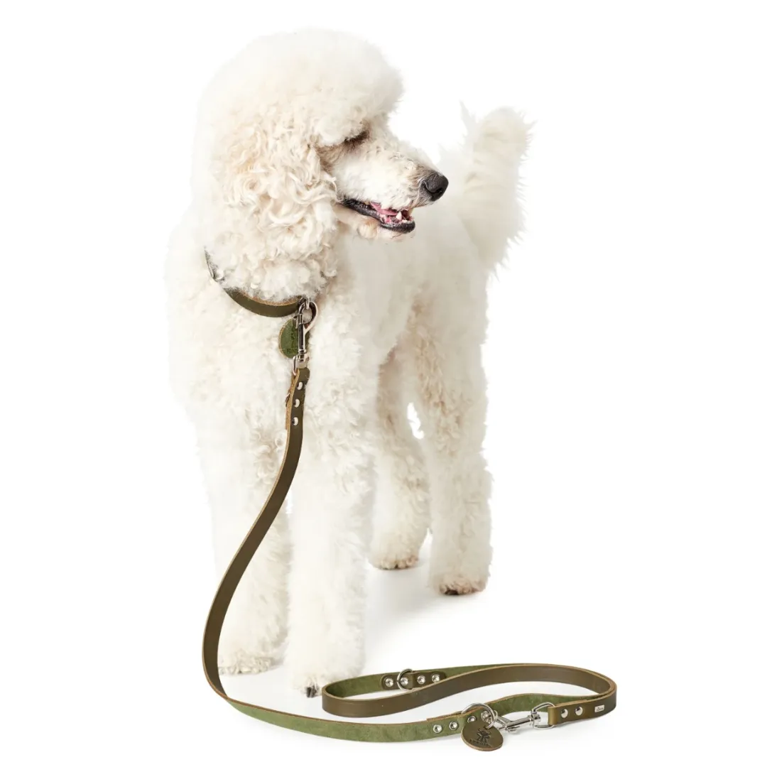 Hunter Aalborg Sport Oliven 32 hundehalsbånd - 24-29 cm