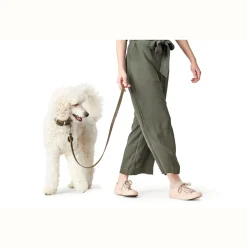 Hunter Aalborg Sport Oliven 37 hundehalsbånd - 28-33 cm