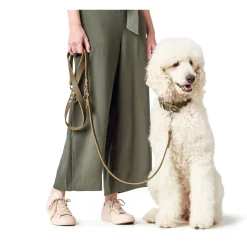Hunter Aalborg Sport Oliven 42 hundehalsbånd - 32-38 cm