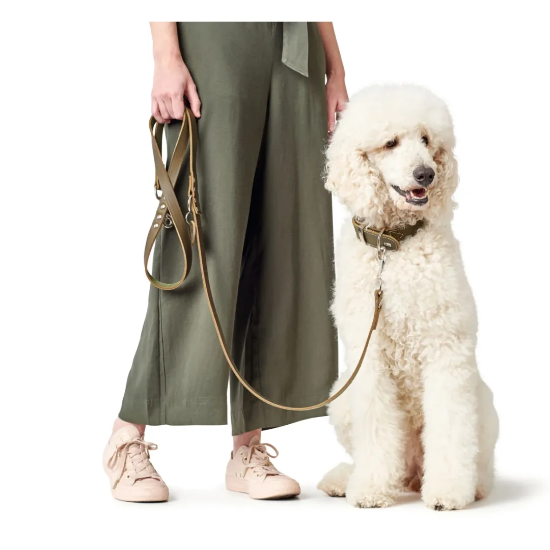 Hunter Aalborg Sport Oliven 42 hundehalsbånd - 32-38 cm
