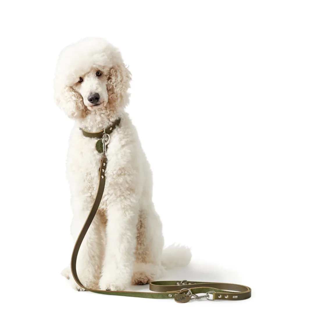 Hunter Aalborg Sport Oliven 42 hundehalsbånd - 32-38 cm