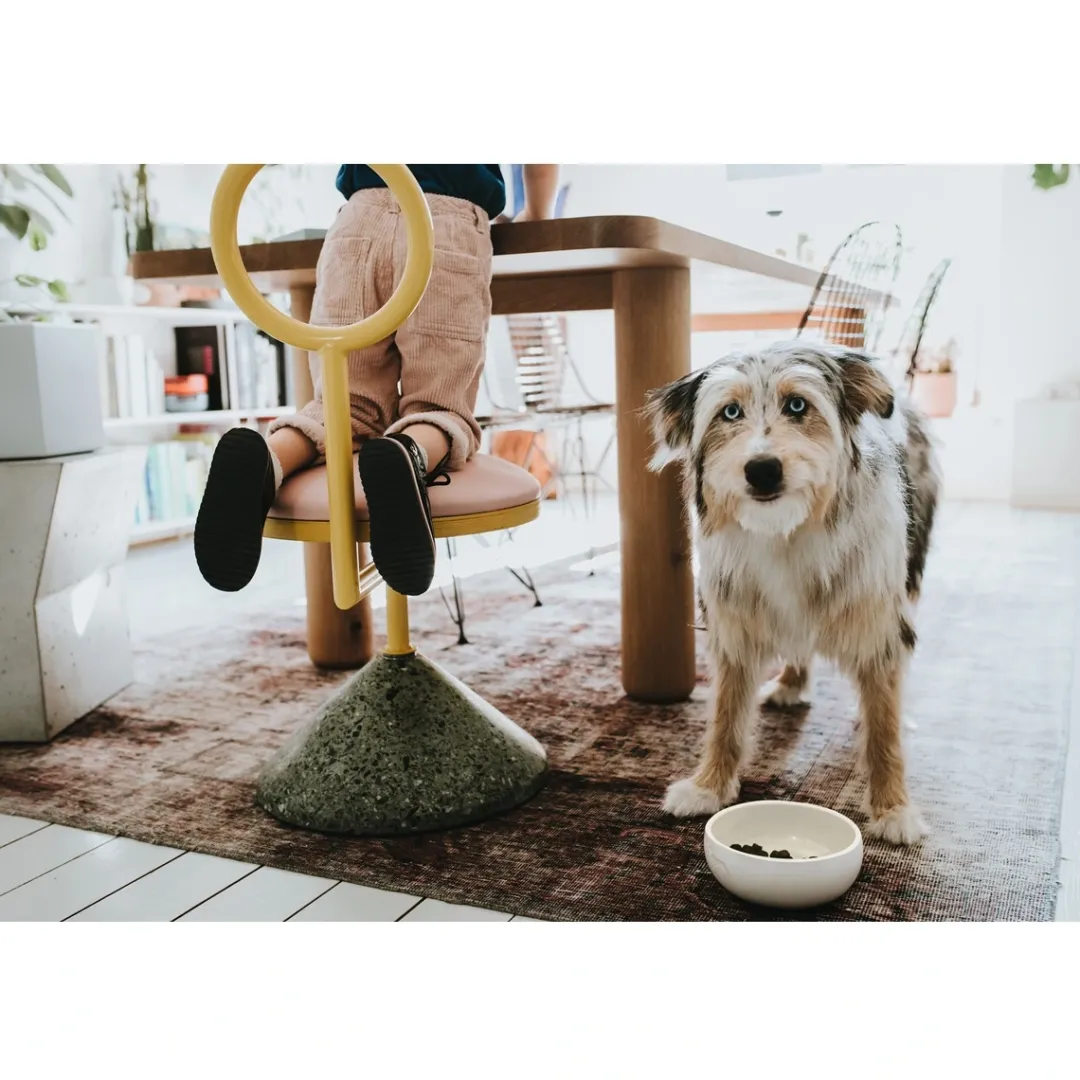 Hunter keramik Lund hunde skål 900 ml Beige