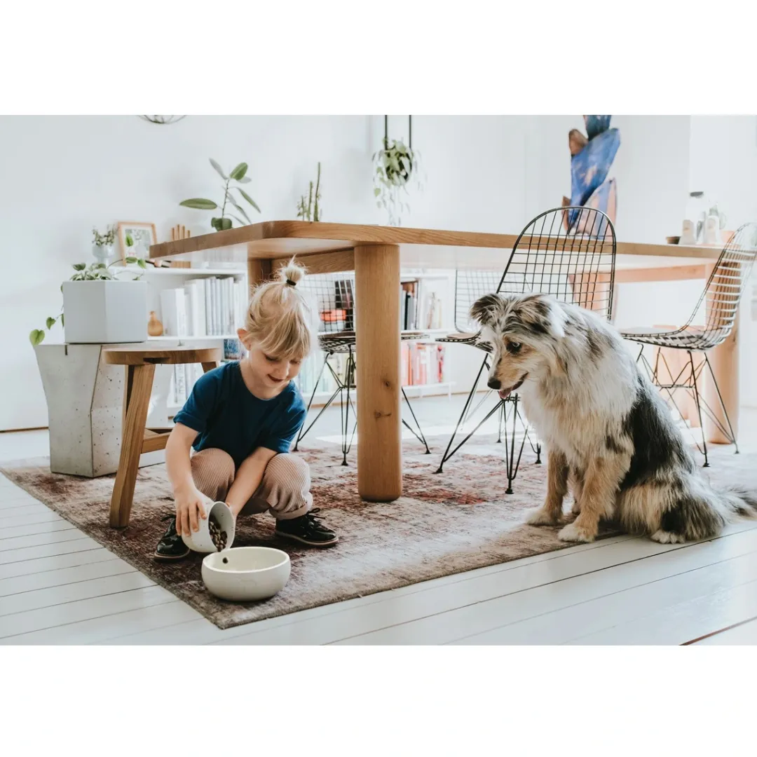 Hunter keramik Lund hunde skål 900 ml Beige